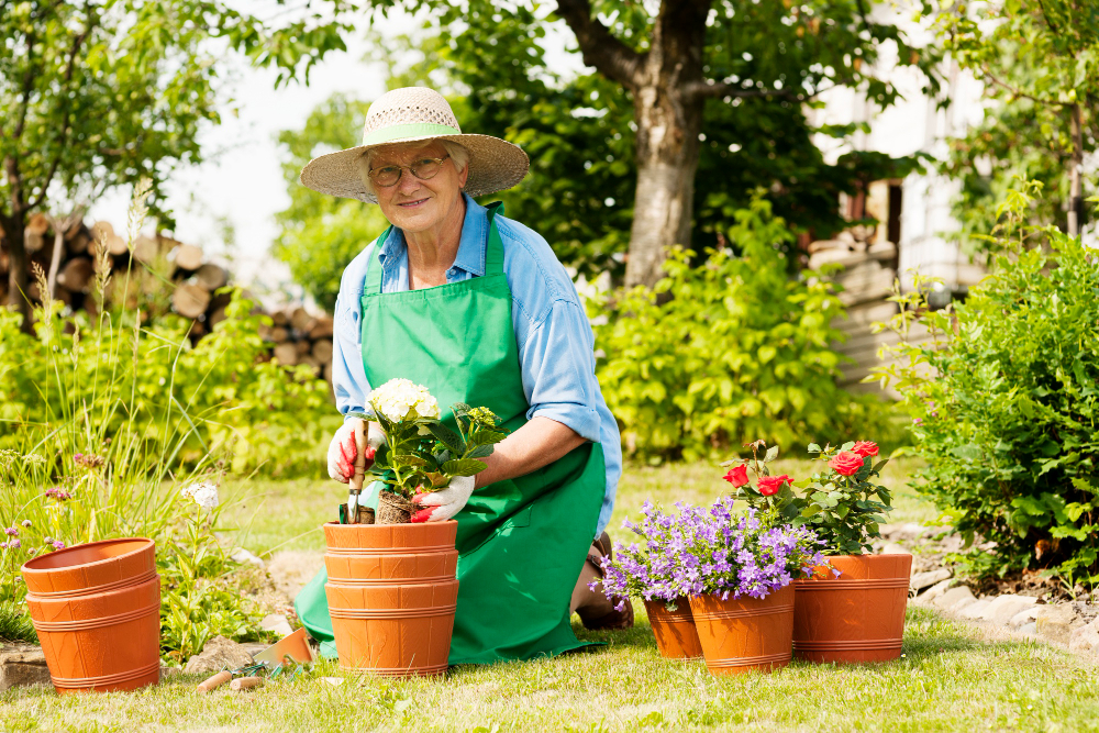 The Importance of Investing in Your Garden for a Fulfilling Lifestyle Its Getting Hot In Here